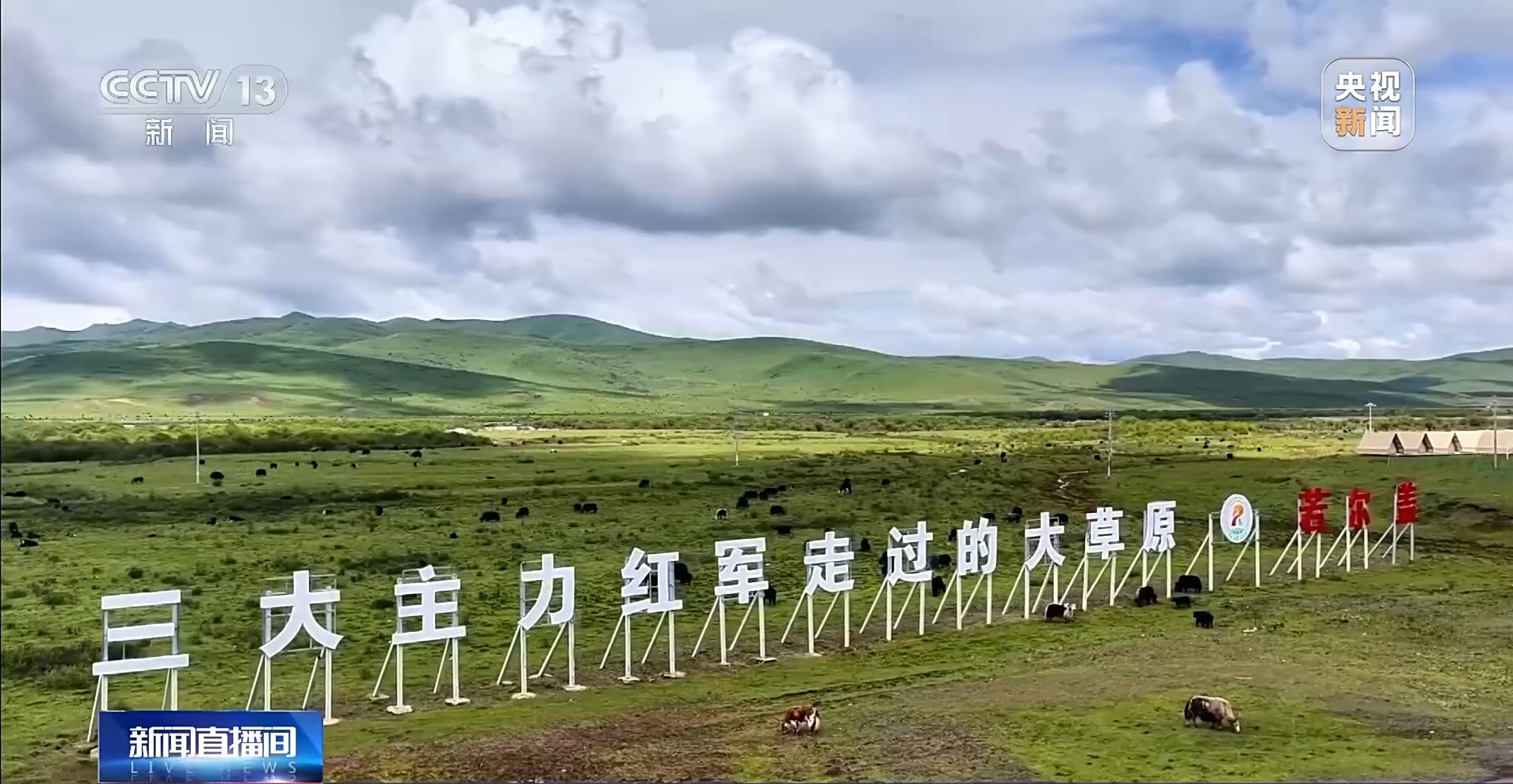 东部战区总医院黄牛代挂号电话票贩子号贩子网上预约挂号,住院检查加快,牢记初心使命 奋进复兴征程丨铭记长征精神 看若尔盖的红色传承与绿色新生