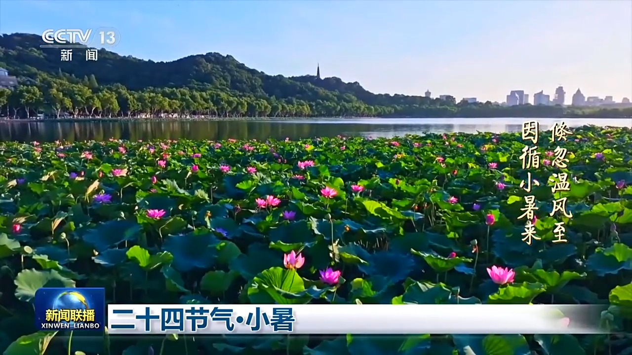 广州市番禺中心医院黄牛号贩子票贩子代网上预约代挂号电话文化中国行丨二十四节气·小暑